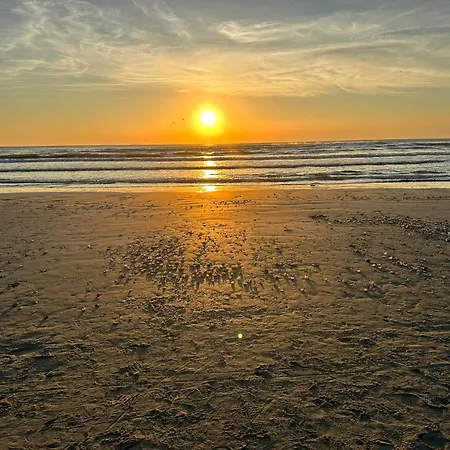 Black Sea